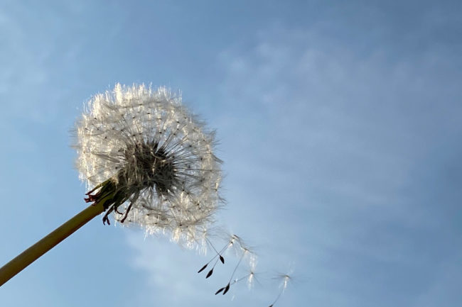 Coaching in Bochum, Herne, Dortmund, Castrop-Rauxel und ganz NRW, auch für Lehrerinnen Lehrer und Führungskräfte sowie Angebote für Schulen und Institutionen zum Thema Resilienz, Teamentwicklung und Gesundheit